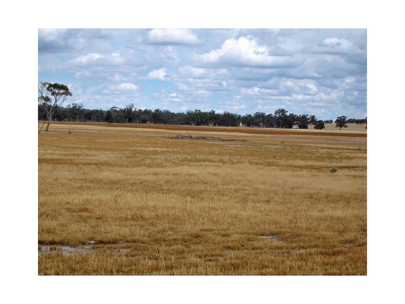 Lot 2269 Daylesford Road, Popanyinning WA 6309