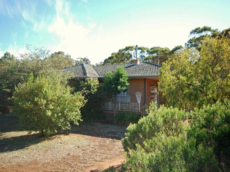 81 Herald Street, Narrogin WA 6312