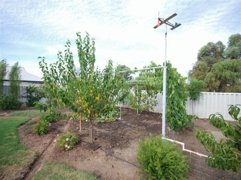 20 Quartz Street, Pingelly WA 6308