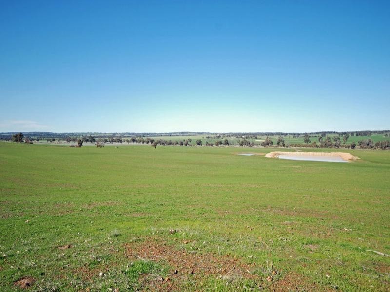 213 Schoolars Road, Cuballing WA 6311