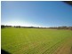 213 Schoolars Road, Cuballing WA 6311