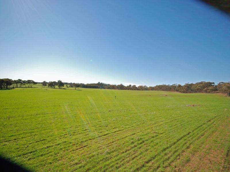 213 Schoolars Road, Cuballing WA 6311