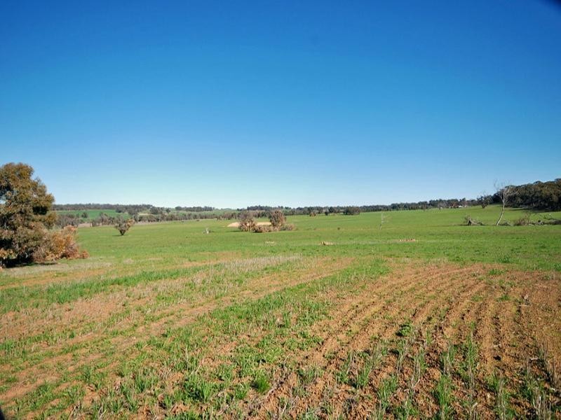 213 Schoolars Road, Cuballing WA 6311