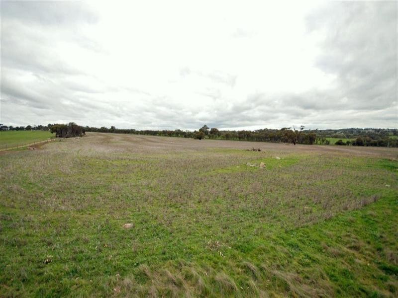 8 Chipper Road, Hillside WA 6312