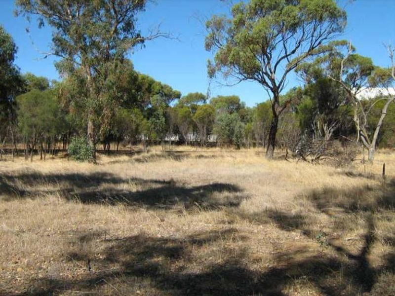 57 Richmond Street, Williams WA 6391