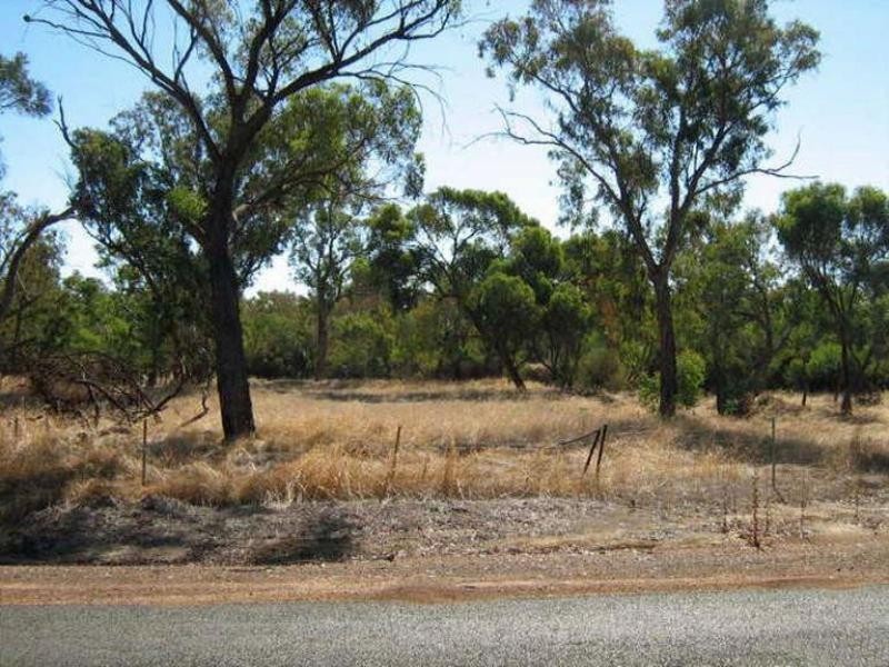 57 Richmond Street, Williams WA 6391