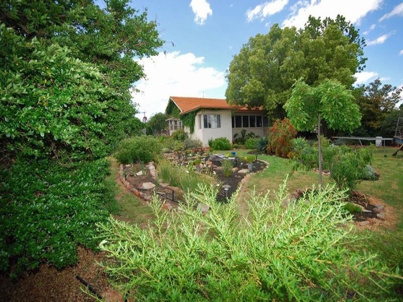 40 Grant Street, Narrogin WA 6312