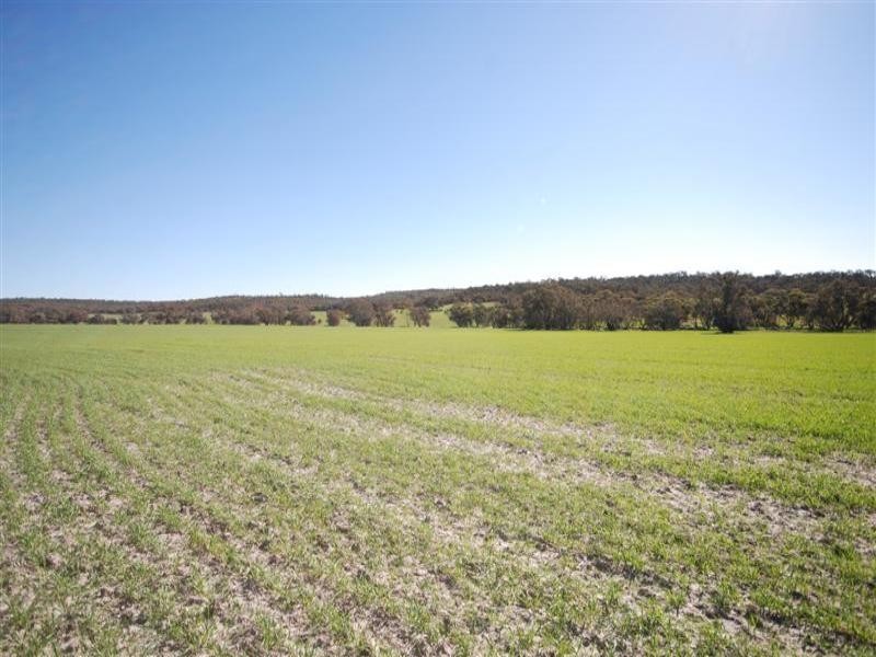 Lot 5 Tyrer Road, Brookton WA 6306