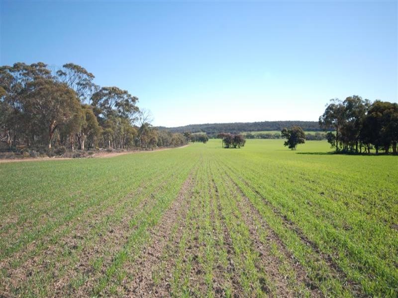 Lot 5 Tyrer Road, Brookton WA 6306