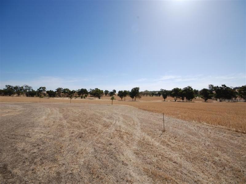 Lot 2235 Springhill Road, Narrogin WA 6312