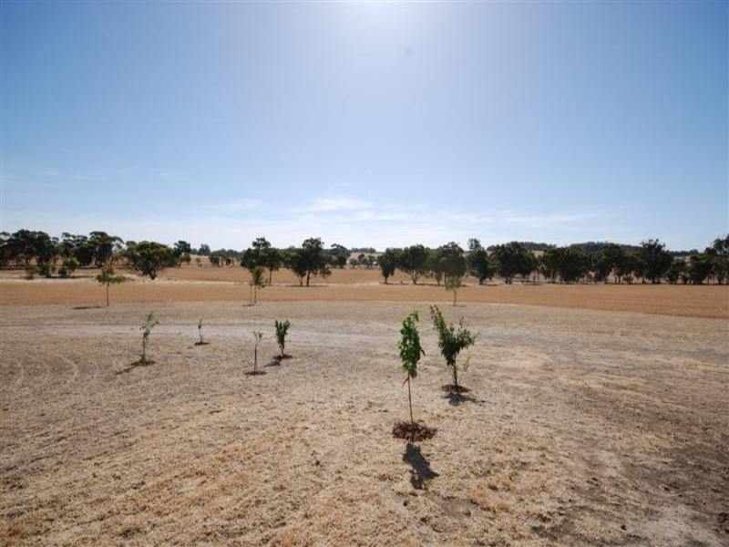 Lot 2235 Springhill Road, Narrogin WA 6312