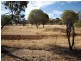 Lot 324 Bullara Street, Cuballing WA 6311