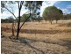 Lot 324 Bullara Street, Cuballing WA 6311