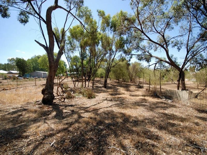 77 Felspar Street, Narrogin WA 6312