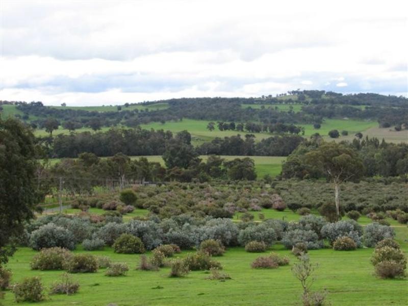 1022 Crossman Road, Boddington WA 6390