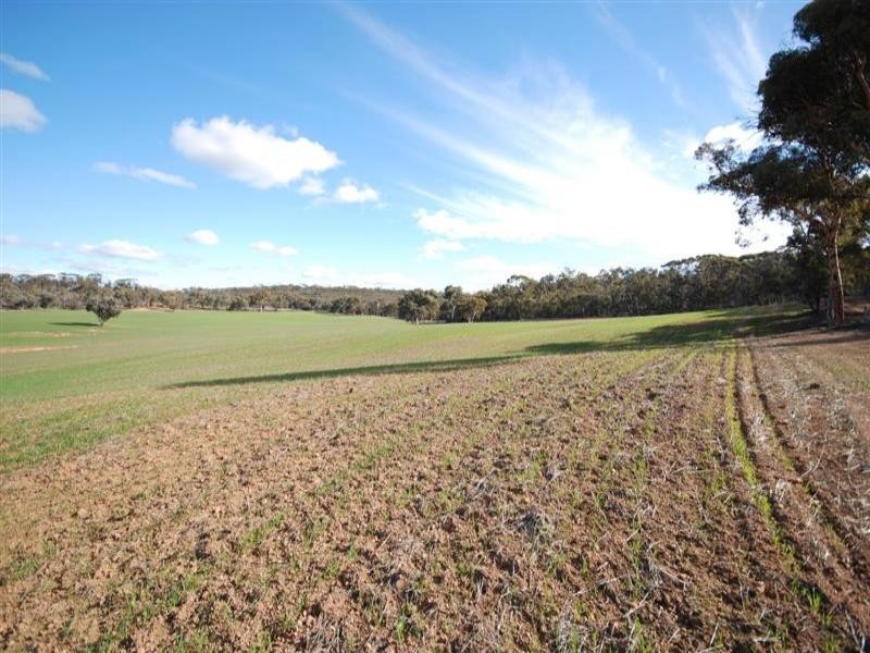 Lot 2 Glenester Road, Brookton WA 6306