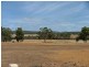Lot 12 Parrot Bush Road, Boddington WA 6390