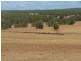 Lot 13 Parrot Bush Road, Boddington WA 6390