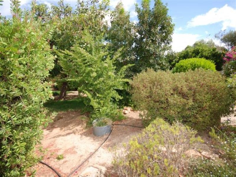 23 McGrath Street, Brookton WA 6306