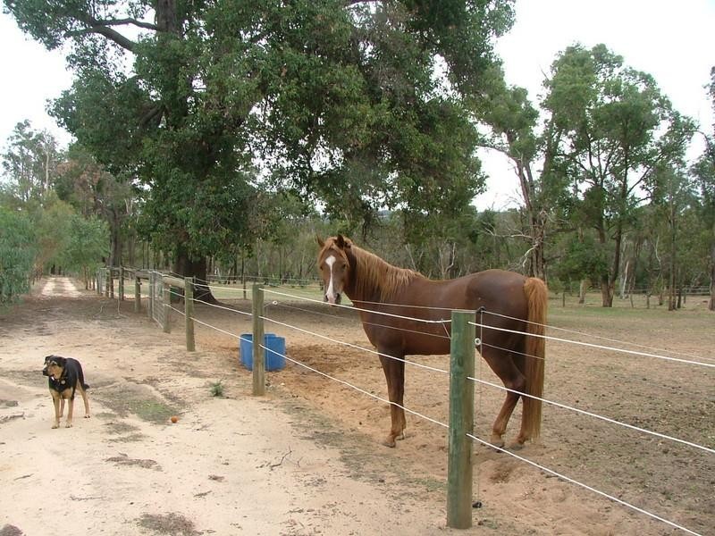 142 Twin Bridges Place, Boddington WA 6390