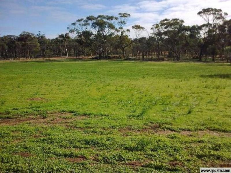 35 King Street, Popanyinning WA 6309