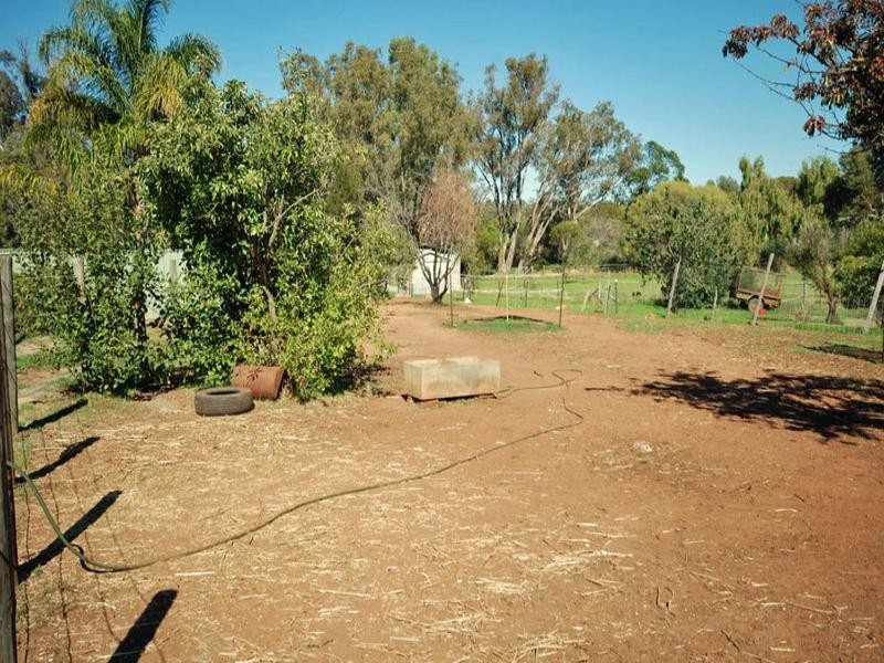 62 Argus Street, Narrogin WA 6312