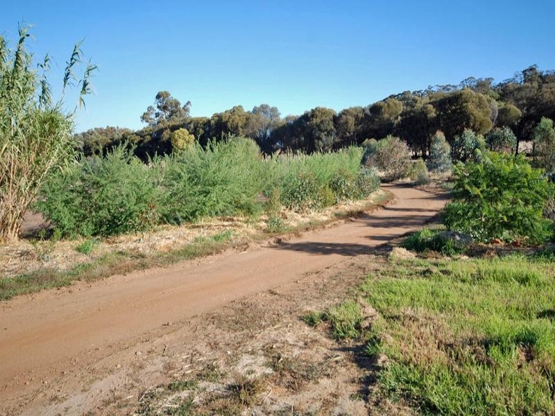 Lot 1 Wandering-Narrogin Road, Narrogin WA 6312
