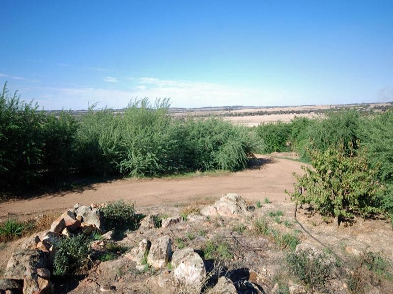 Lot 1 Wandering-Narrogin Road, Narrogin WA 6312
