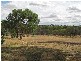 24 Balfour Street, Pingelly WA 6308