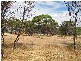 24 Balfour Street, Pingelly WA 6308