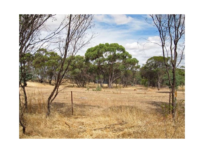 24 Balfour Street, Pingelly WA 6308
