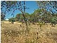 24 Balfour Street, Pingelly WA 6308