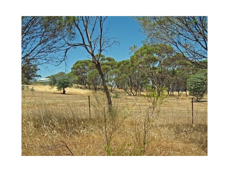24 Balfour Street, Pingelly WA 6308