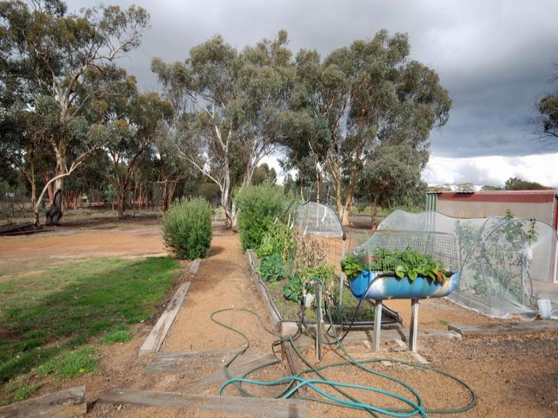 7 Burley Street, Highbury WA 6313