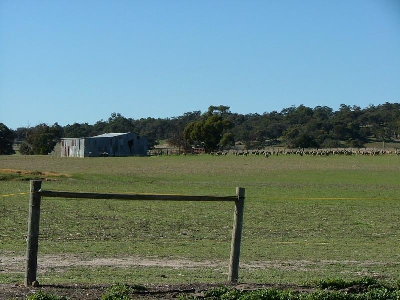 920 Bannister-Marradong Road, Boddington WA 6390