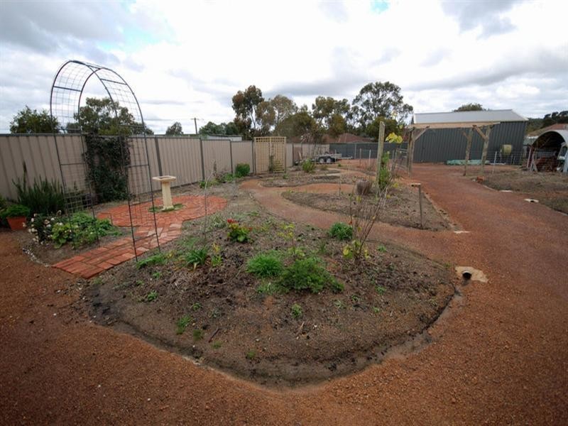 43 Furnival Street, Narrogin WA 6312