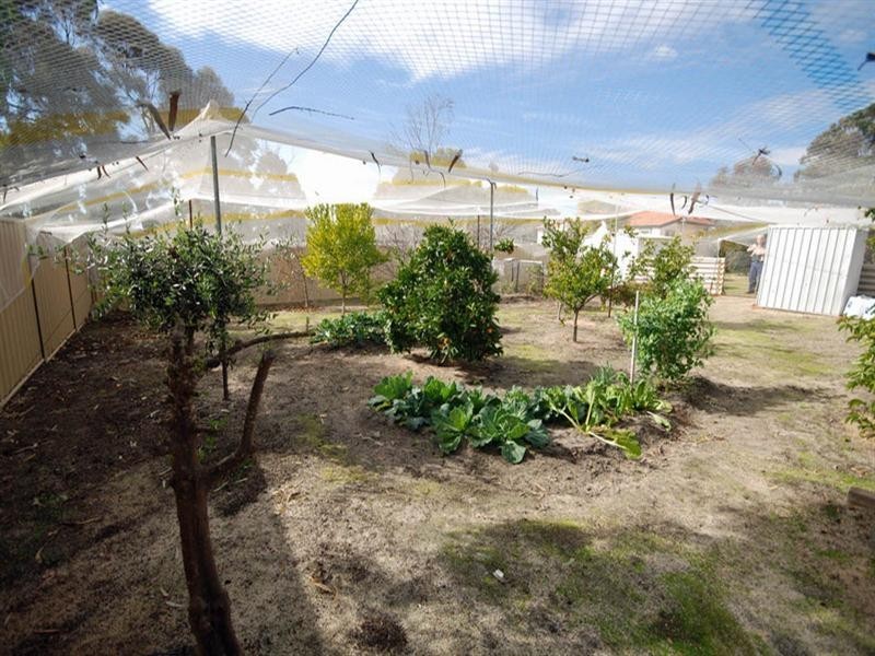 94 Upland Street, Wagin WA 6315