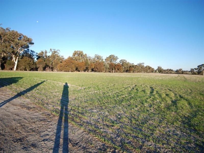 Lot 155 Yilliminning Road, Narrogin WA 6312