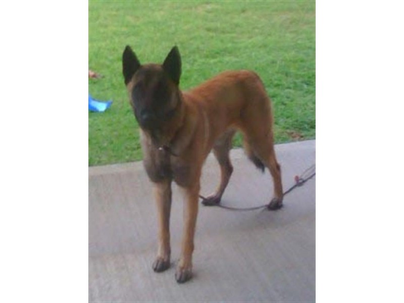 Narrogin Daly Security, Narrogin WA 6312