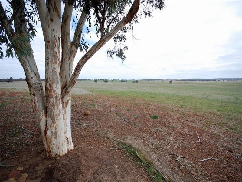 Blocks Great Southern Highway, Highbury WA 6313