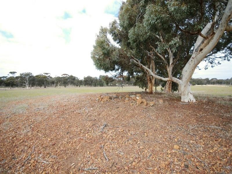 Blocks Great Southern Highway, Highbury WA 6313