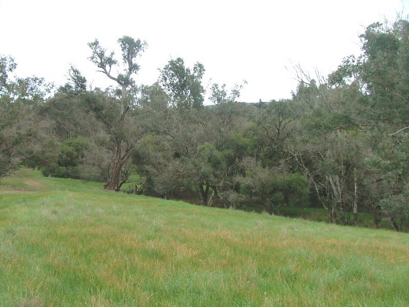 1956 Harvey-Quindanning Road, Boddington WA 6390