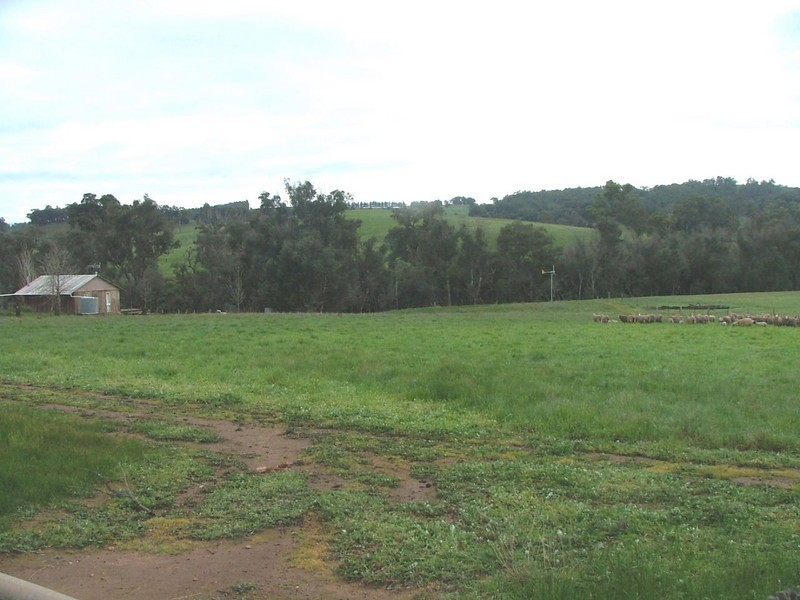 1956 Harvey-Quindanning Road, Boddington WA 6390