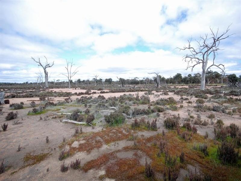 Lot 2558 Great Southern Highway, Highbury WA 6313