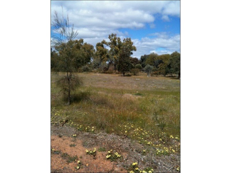 1 Hotham Street, Popanyinning WA 6309