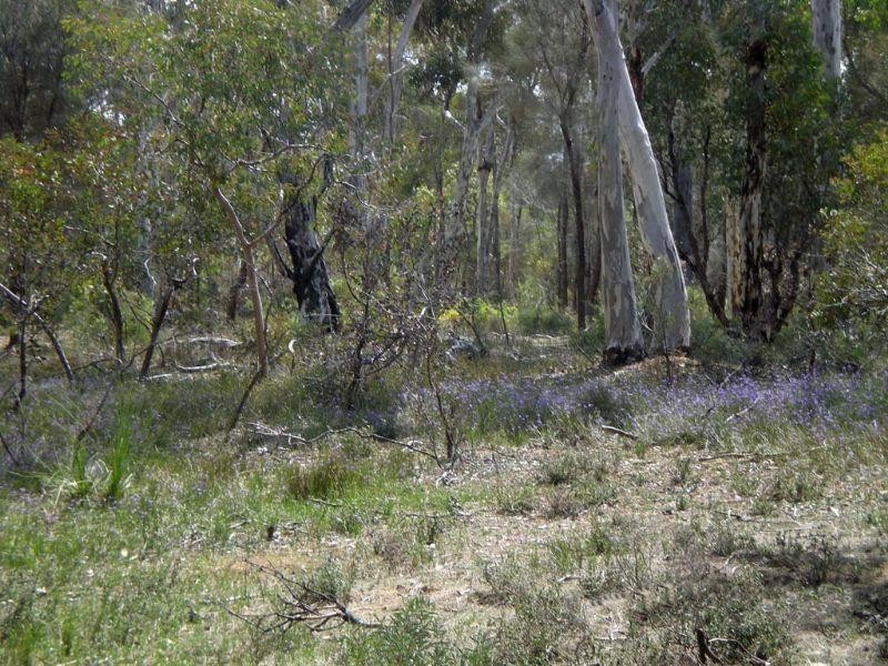 Lot 1 Location 4774, Williams WA 6391