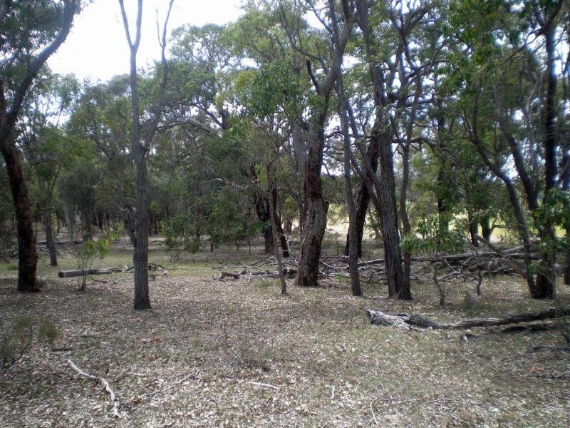 Lot 1 Location 4774, Williams WA 6391