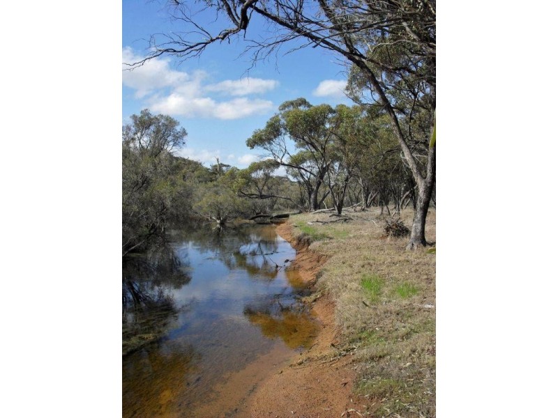 285 Richmond Street, Williams WA 6391