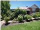 17 Havelock Street, Narrogin WA 6312