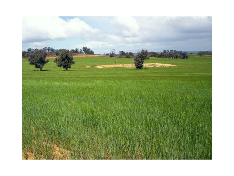 4053 Popanyinning East Road, Popanyinning WA 6309